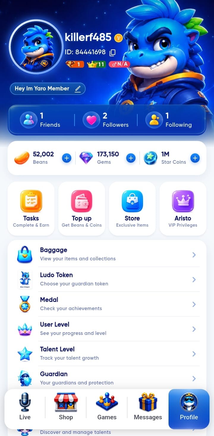 Player profile with tokens and medals